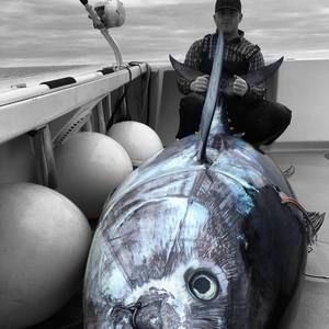 Meet your Posher, Cj